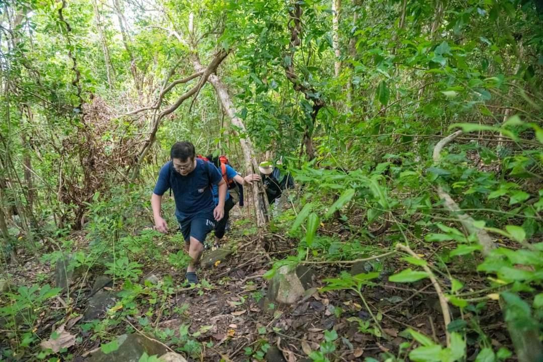 Con Dao Backpacker - Loco Camping Chi Khu Co Ong Eksteriør billede