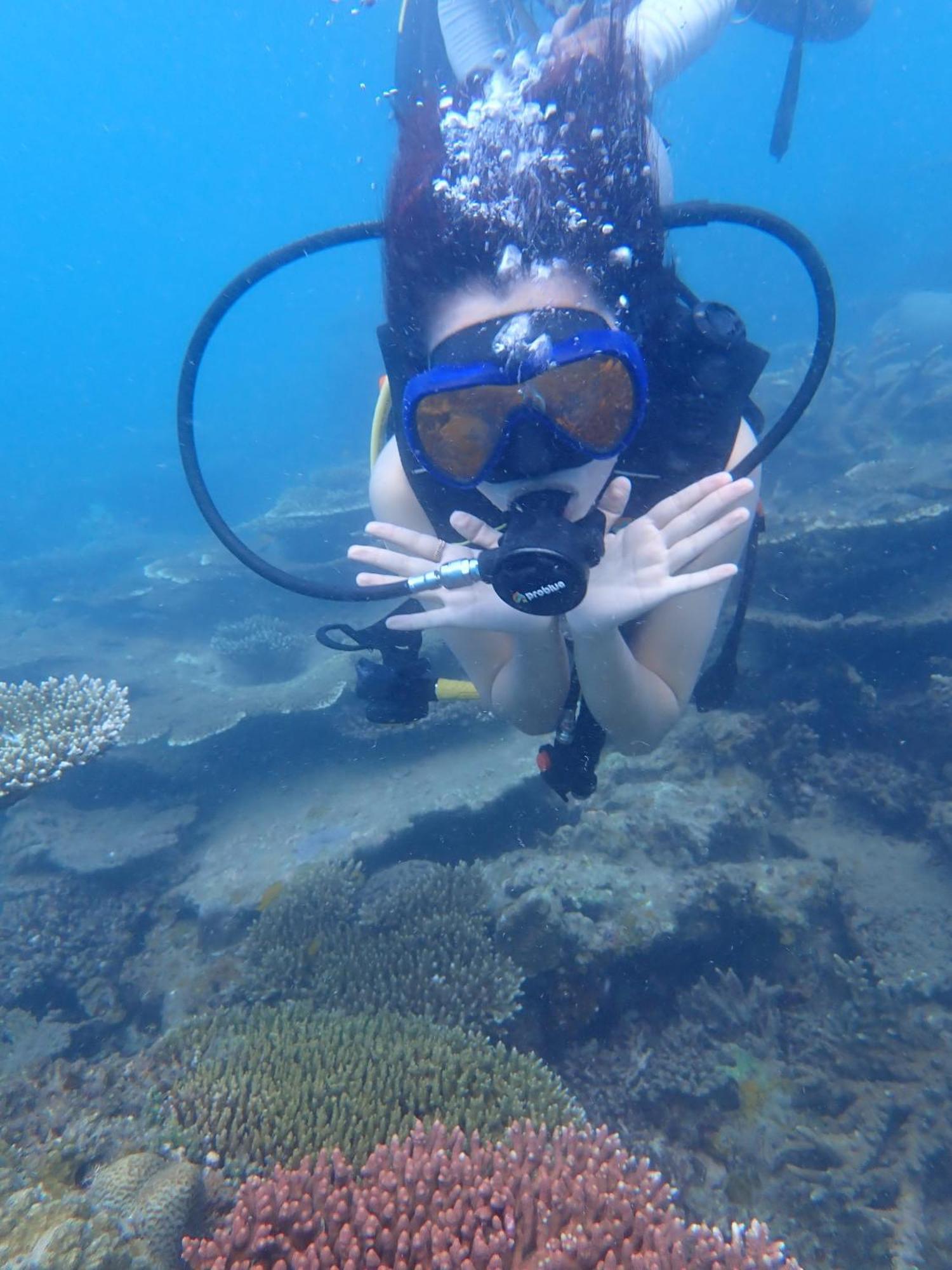 Con Dao Backpacker - Loco Camping Chi Khu Co Ong Eksteriør billede
