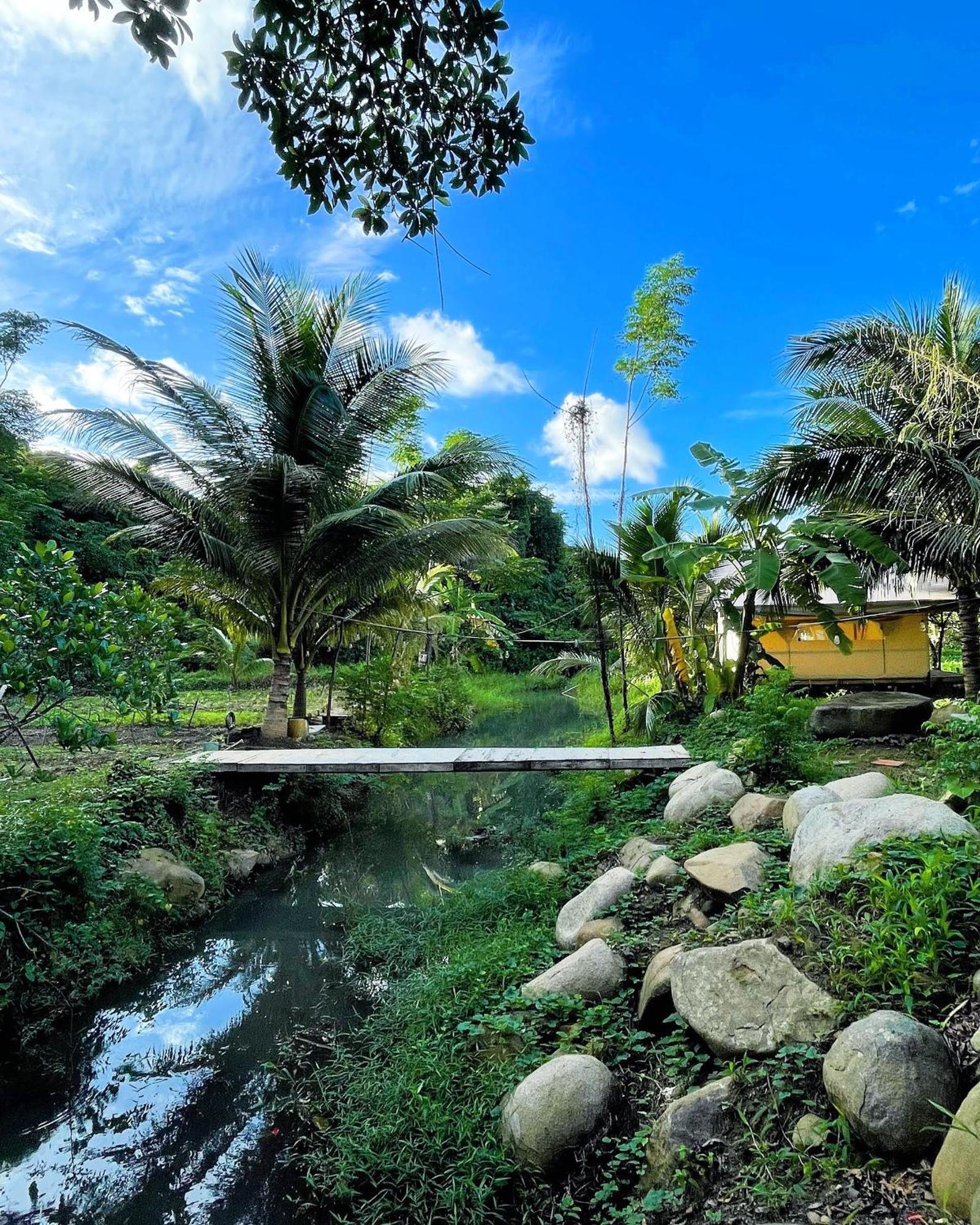Con Dao Backpacker - Loco Camping Chi Khu Co Ong Eksteriør billede