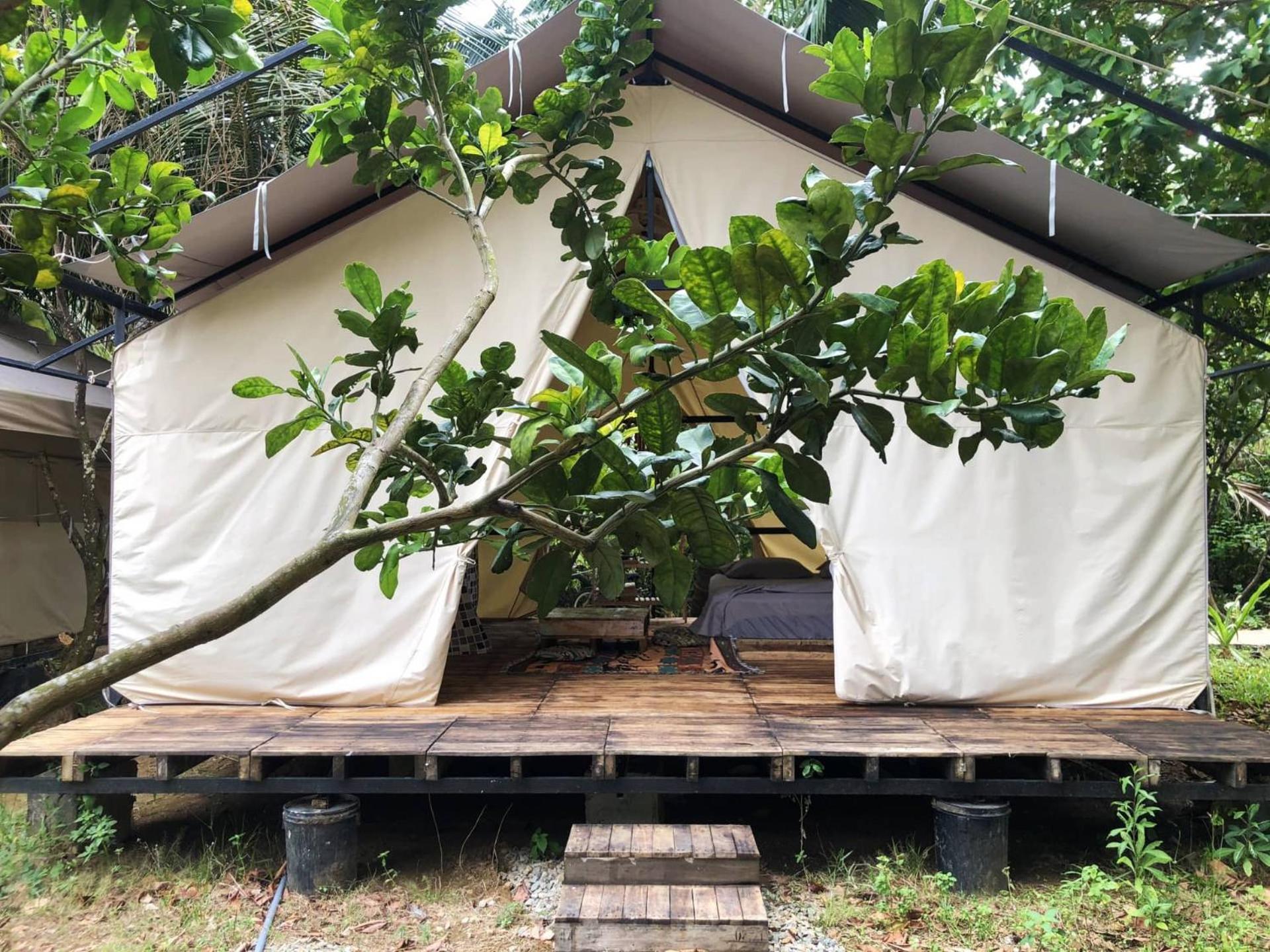 Con Dao Backpacker - Loco Camping Chi Khu Co Ong Eksteriør billede