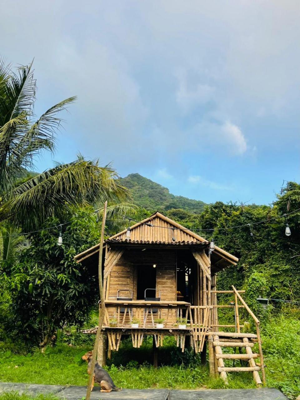 Con Dao Backpacker - Loco Camping Chi Khu Co Ong Eksteriør billede
